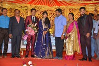 Producer Krishna Reddy Son Wedding Reception